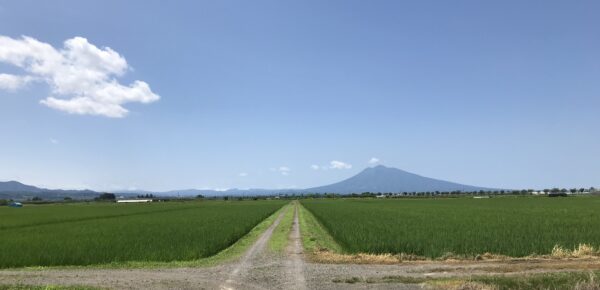 商品価格値上げのお知らせ